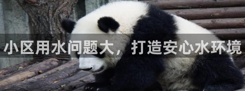 球友会聚餐发言简短