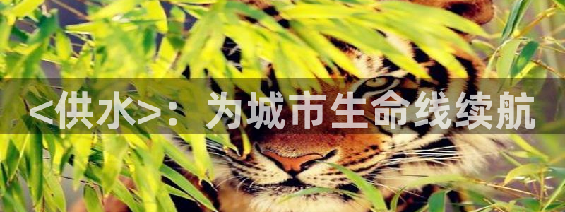 球友会app官方网站