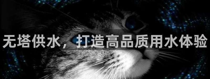 球友会体育app官方版下载安装