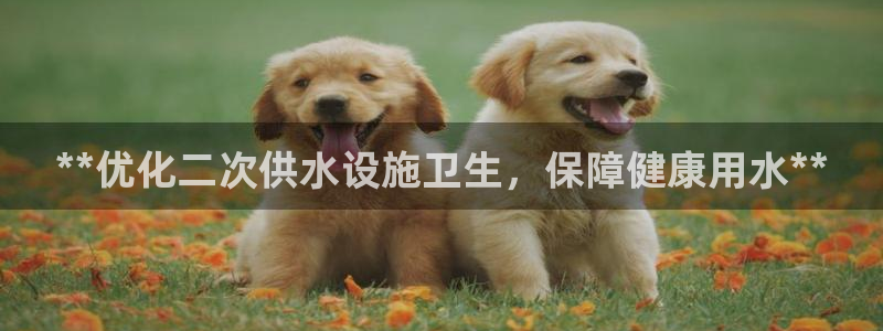 球友会app介绍
