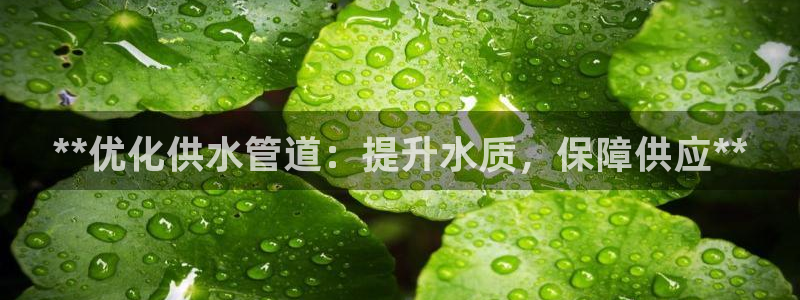 qy球友会体育官方平台