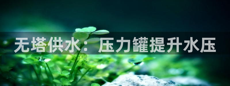 球友会app干啥的呀