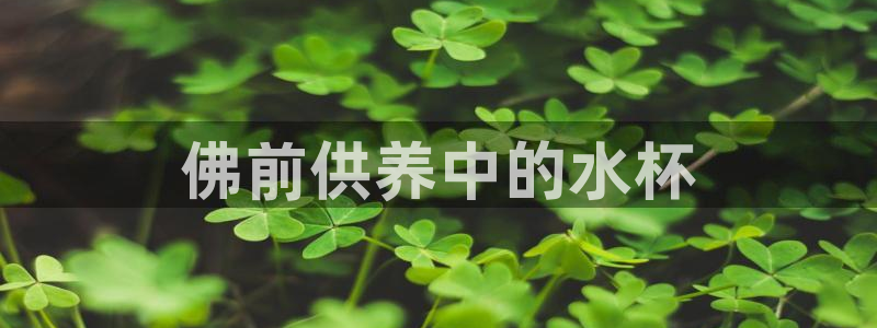 球友会友谊赛7月28日曼联阿森纳