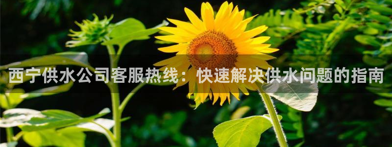 球友会台球俱乐部