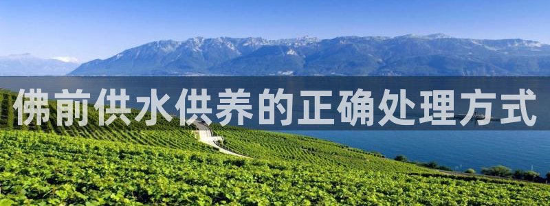 球友会QY