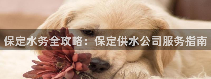 qy球友会体育