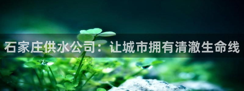 球友会app官网下载苹果