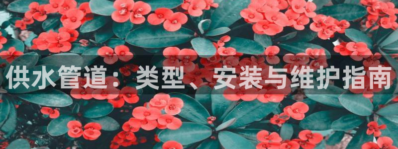 球友会app官网下载