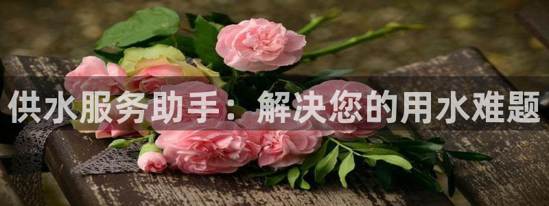 球友会登陆