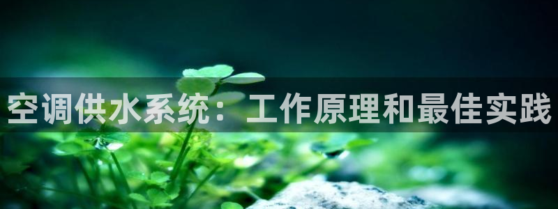 球友会台球俱乐部在哪