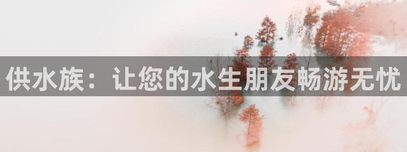 球友会体育app下载安卓手机