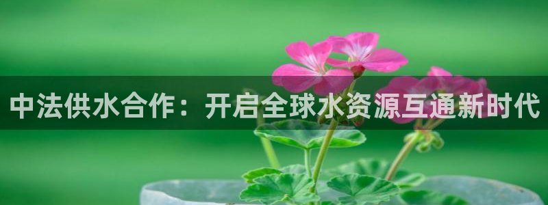 球友会apy