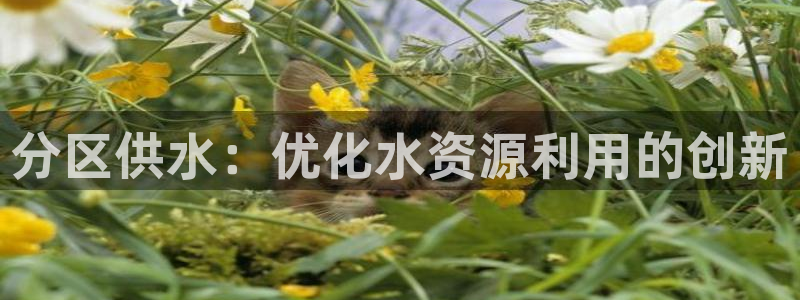 球友会app安全吗
