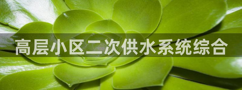 球友会曼联赛事