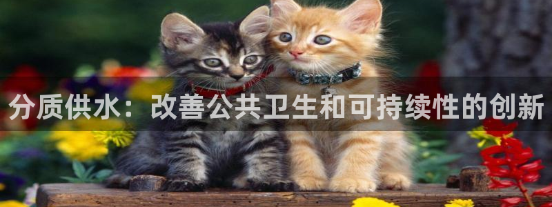 球友会台球俱乐部在哪