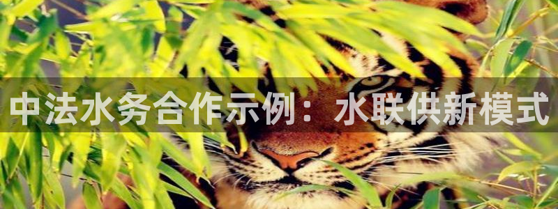 球友会首页