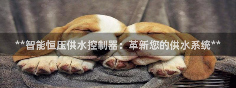 球友会链接