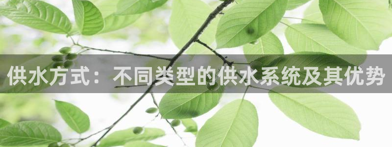 球友会提款不到账