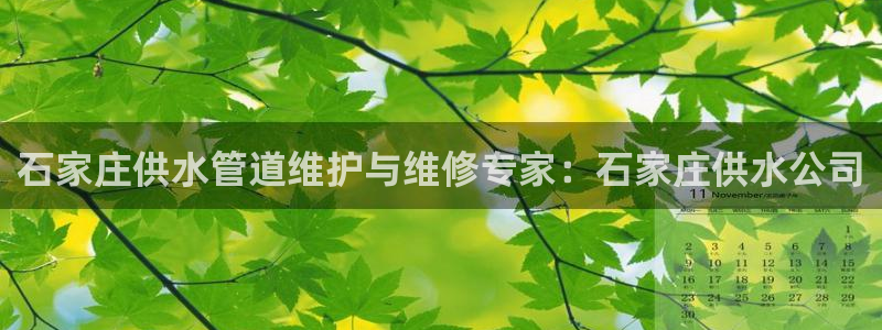 球友会app干啥的软件