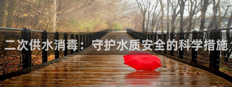 球友会怎么样