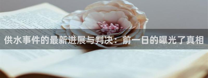 球友会比赛结果查询系统