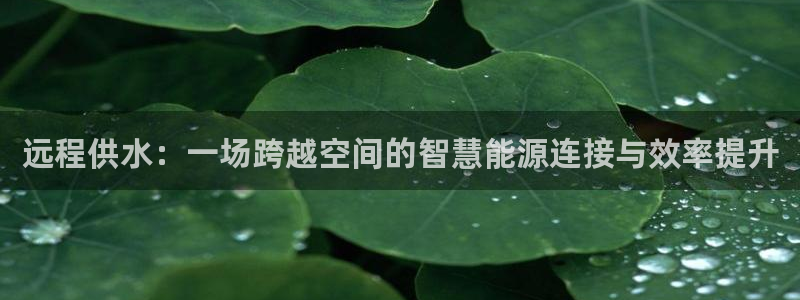 球友会官网入口