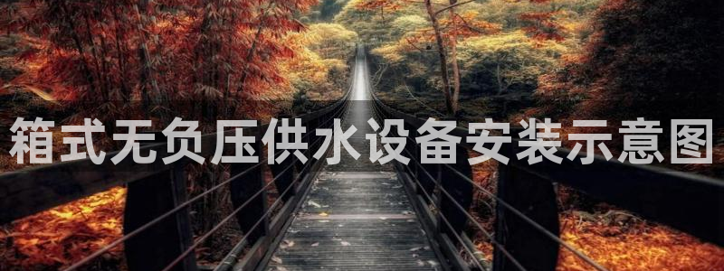 球友会登录不上的原因