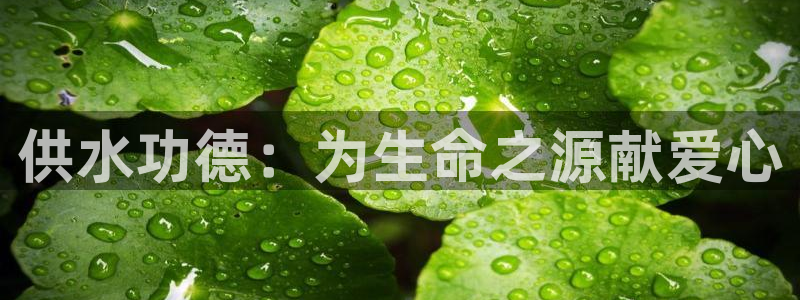 球友会app网址