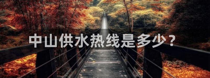QY球友会官网