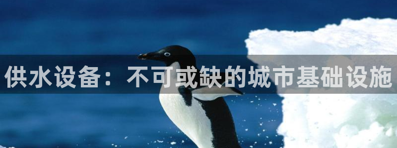 球友会是什么