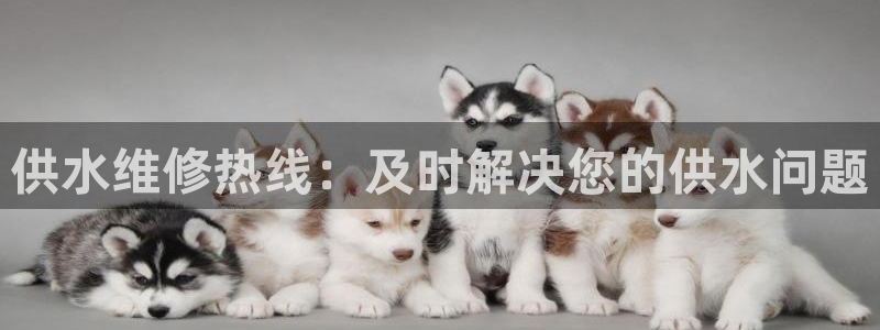 球友会聚餐发言简短