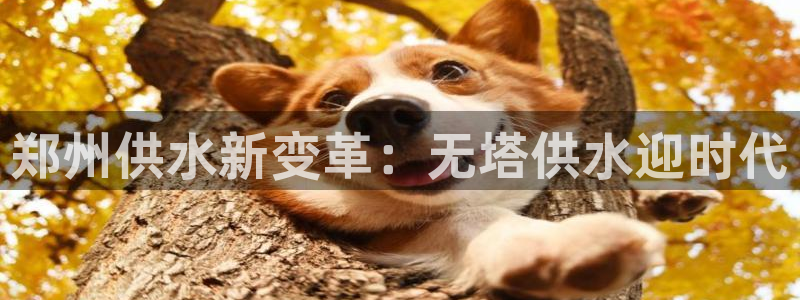 球友会app官网下载苹果