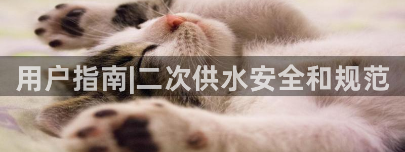 球友会体育app下载官网