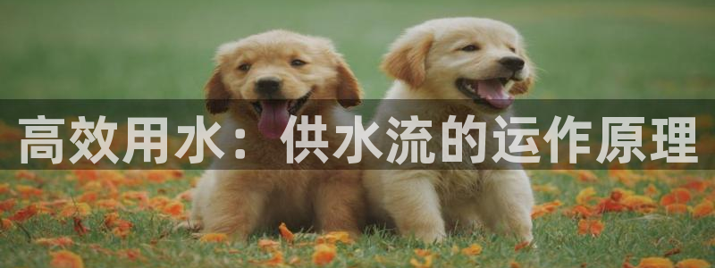 球友会官网入口