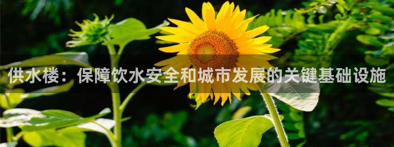 球友会官网