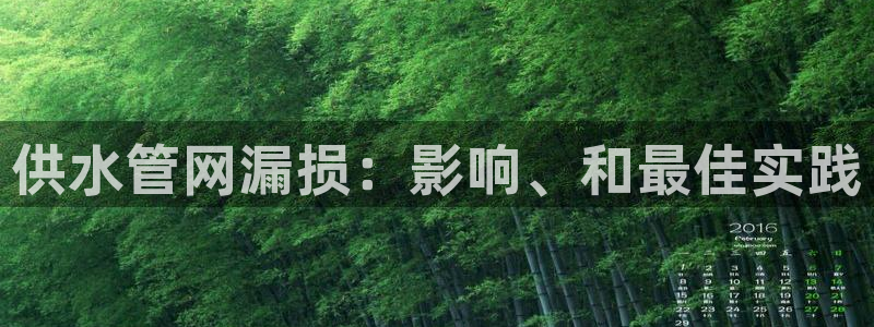 球友会体育app下载官网安卓