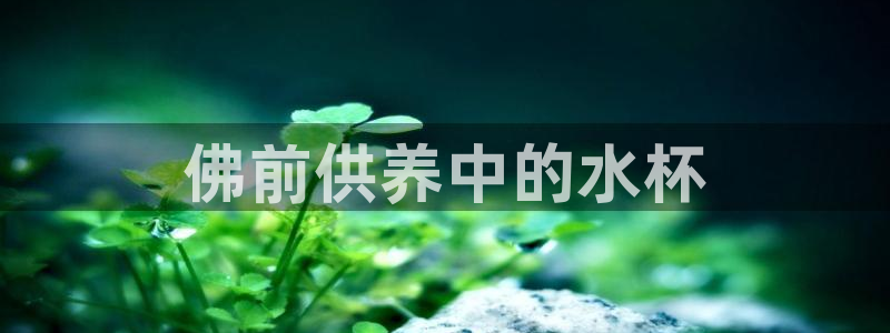 球友会app下载QY
