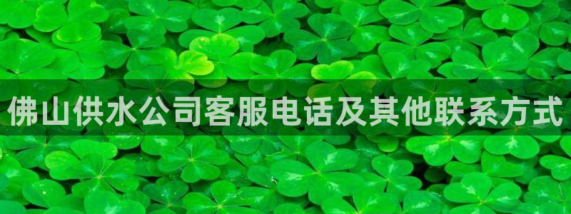 球友会提现游戏平台抽查