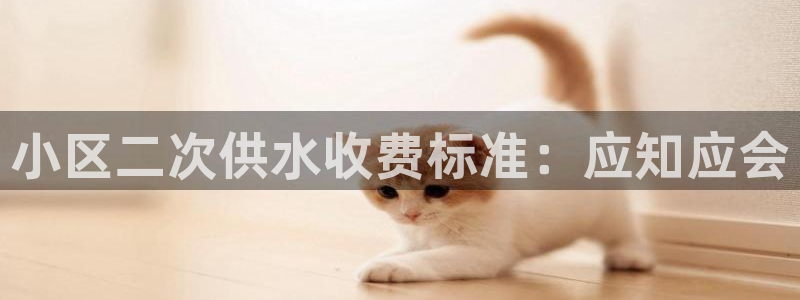 球友会台球俱乐部官网