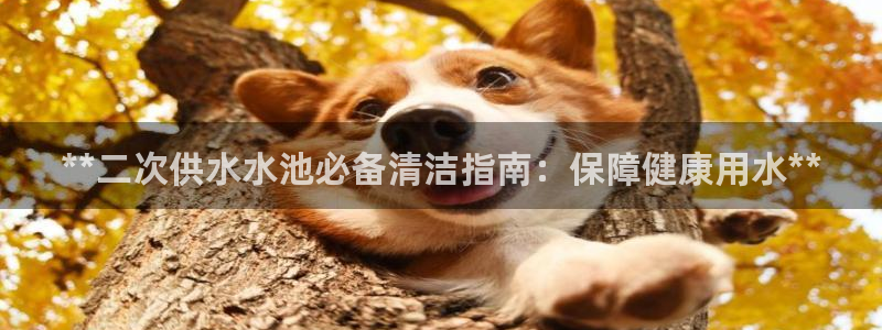 球友会·(QY)官方网站