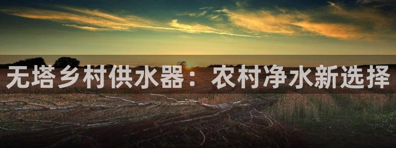 球友会提现不到账