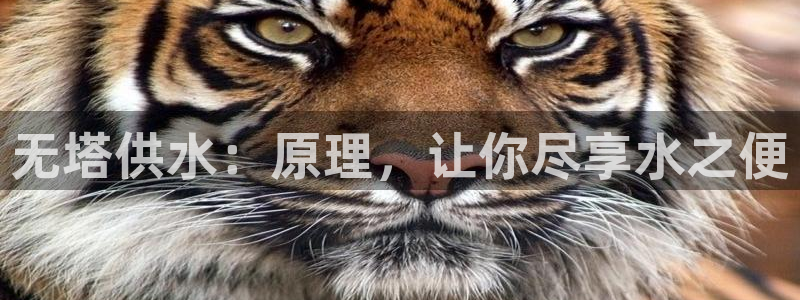 球友会app官网下载安装