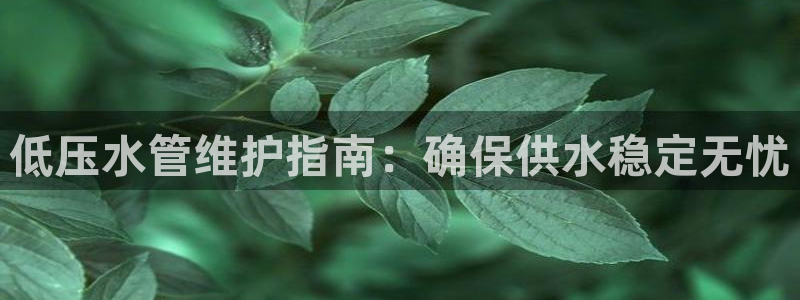 QY球友会官网
