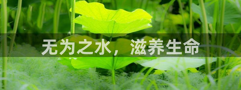 球友会App