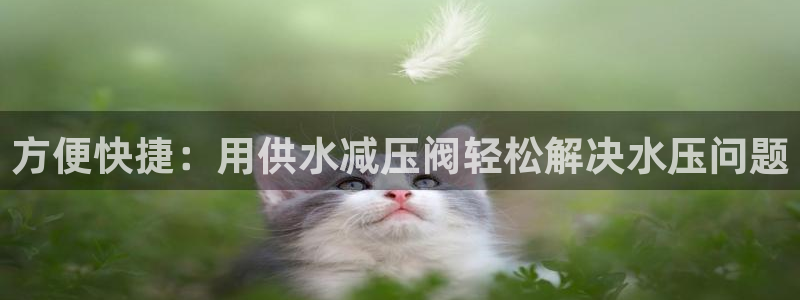 球友会提款审核