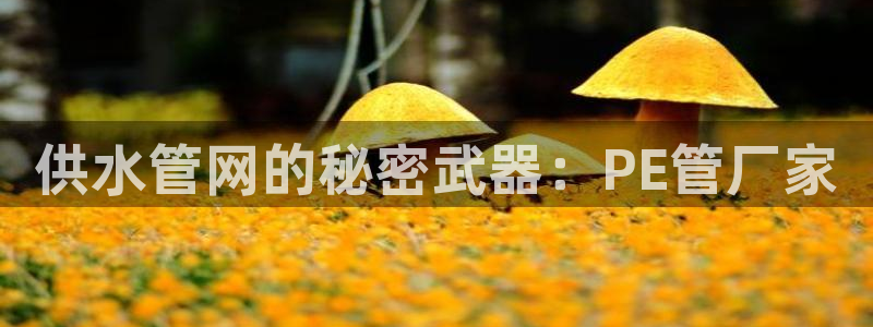 球友会官网下载