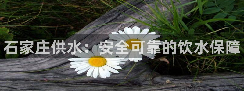 球友会体育app官方版下载安装苹果