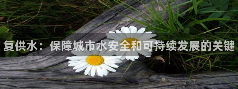 球友会提款审核中