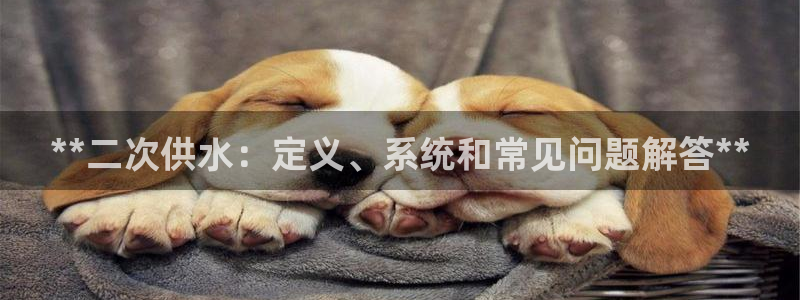 球友会qy怎么进不去