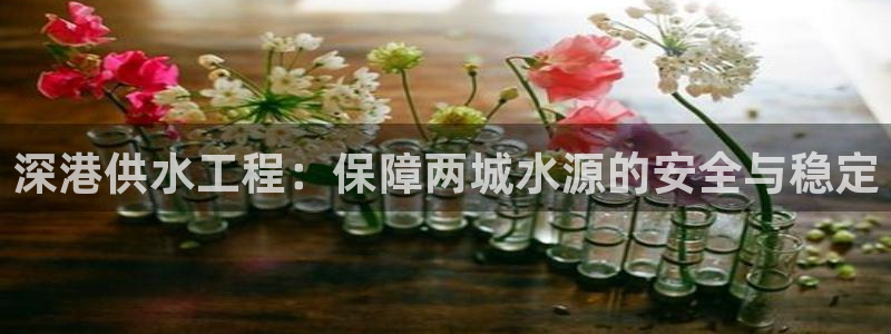 球友会链接